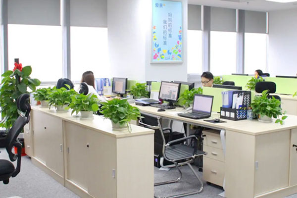 广东保温砂浆在大湾区重大工程中的应用案例